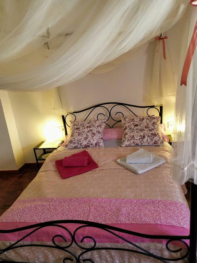Apartamento Entero "El Casco Antiguo" Vt-46811-V Xativa Bagian luar foto