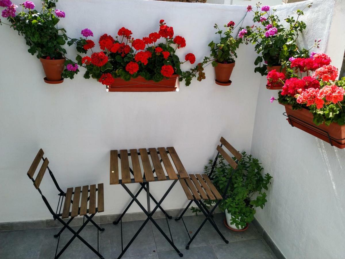 Apartamento Entero "El Casco Antiguo" Vt-46811-V Xativa Bagian luar foto