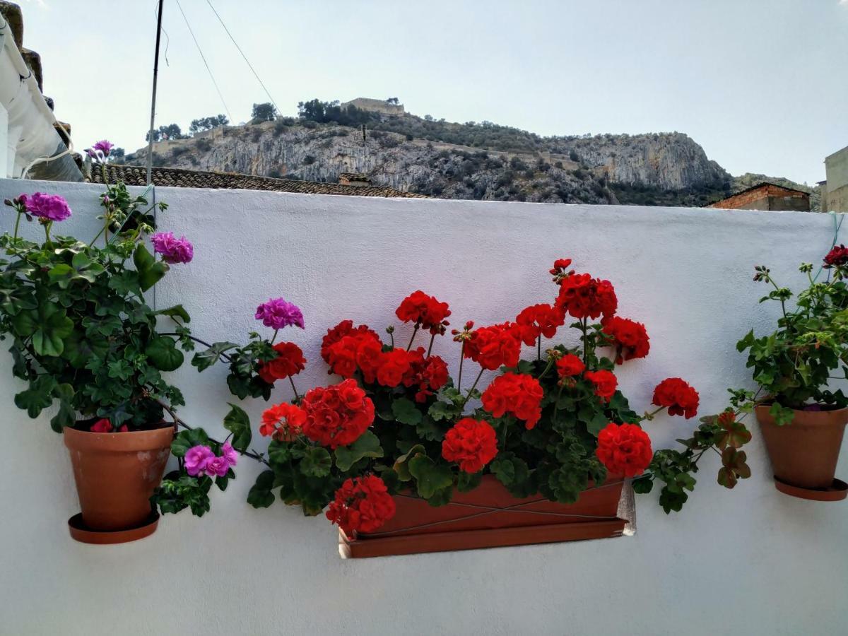 Apartamento Entero "El Casco Antiguo" Vt-46811-V Xativa Bagian luar foto